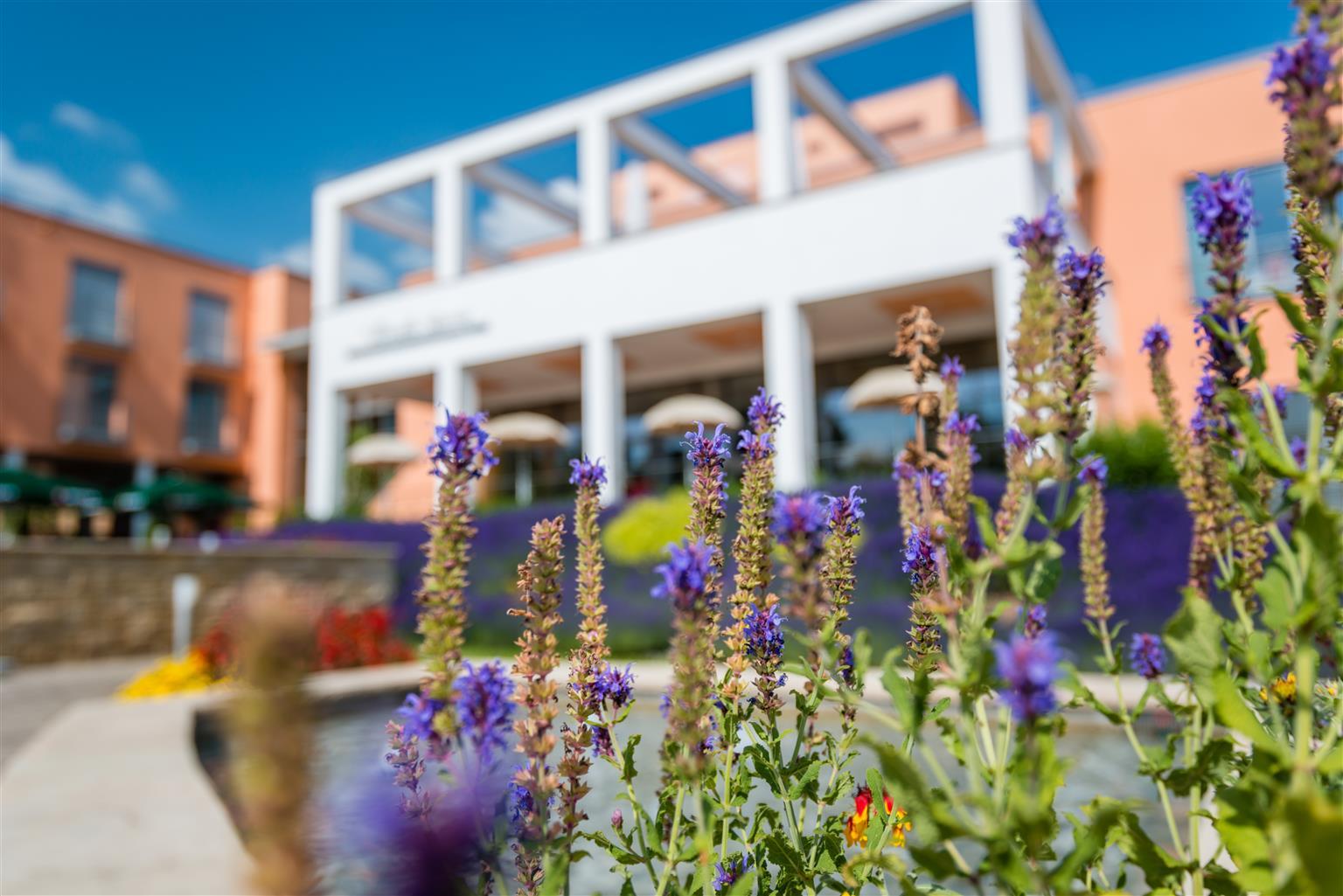 Hotel Am Vitalpark Heilbad Heiligenstadt Exterior photo